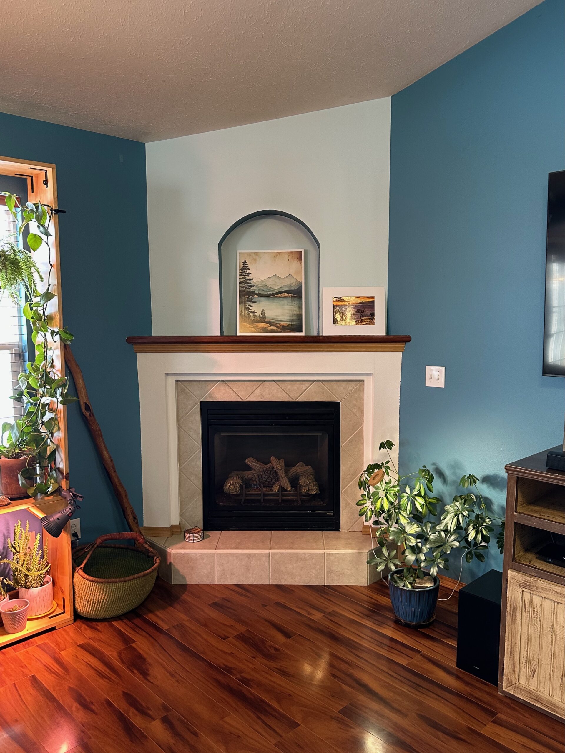 314 W. Cherokee Path - 13